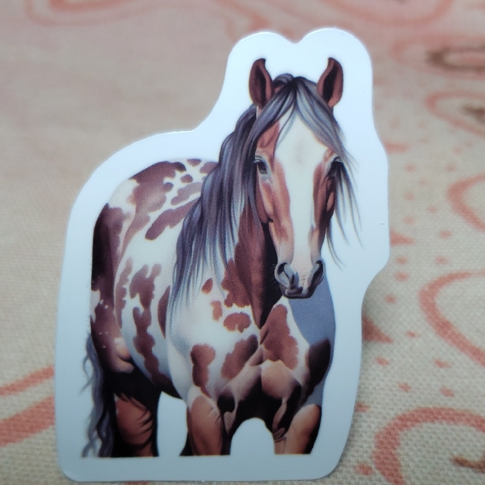 Pinto Horse Sticker Cowgirl Stickers Horse Lover Horse Owner (H)